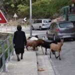 Movilidad en Albania