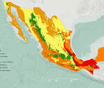 Explorando el Clima y la Geografía de México