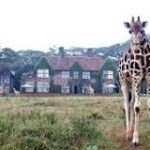 Explorando Kenia: los mejores lugares turísticos