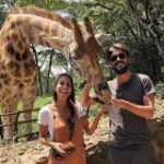 Explorando Nairobi: El Turismo en la Ciudad de la Fauna Salvaje