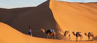 ¿Cómo es que llegar al despoblado del Sahara a partir de Marrakech?