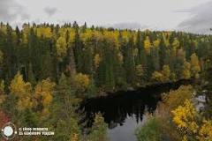 parques nacionales finlandia