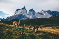 ¿Cuál es el sitio más lindo del sur de Chile?