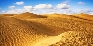 ¿Cuáles son los tipos de desierto?