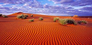 ¿Cuáles son los tipos de desierto?