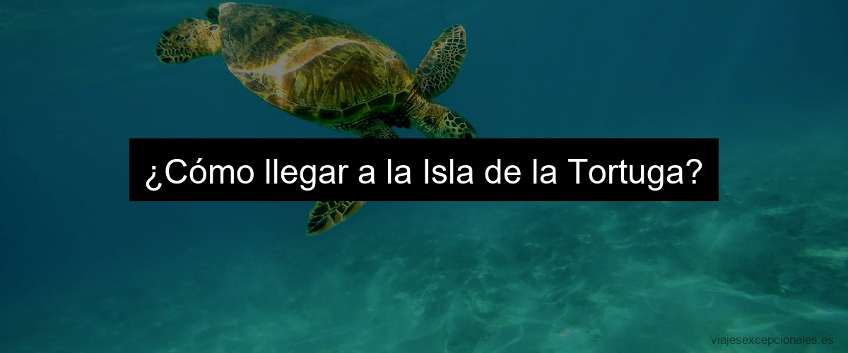 ¿Cómo llegar a la Isla de la Tortuga?
