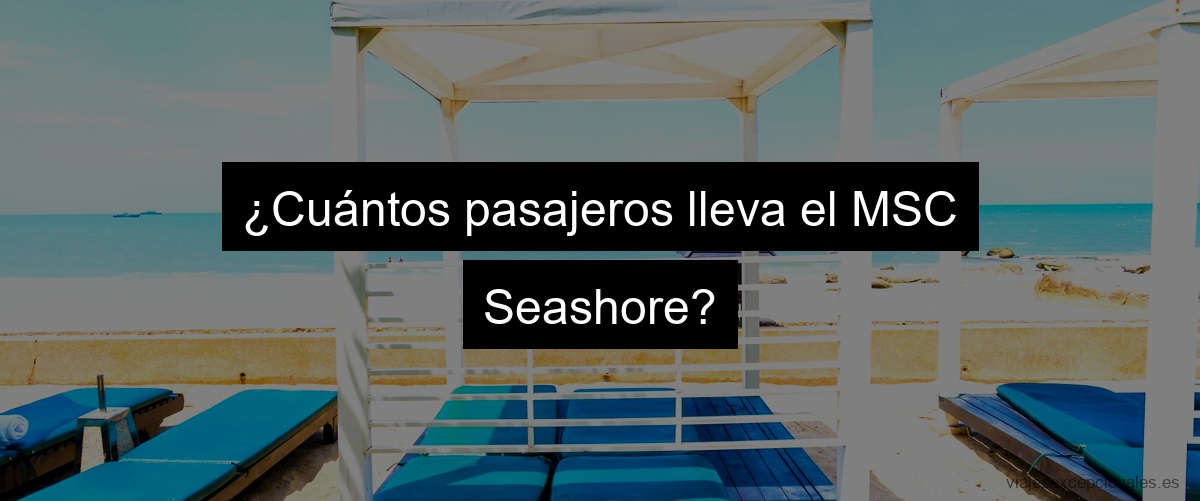 ¿Cuántos pasajeros lleva el MSC Seashore?