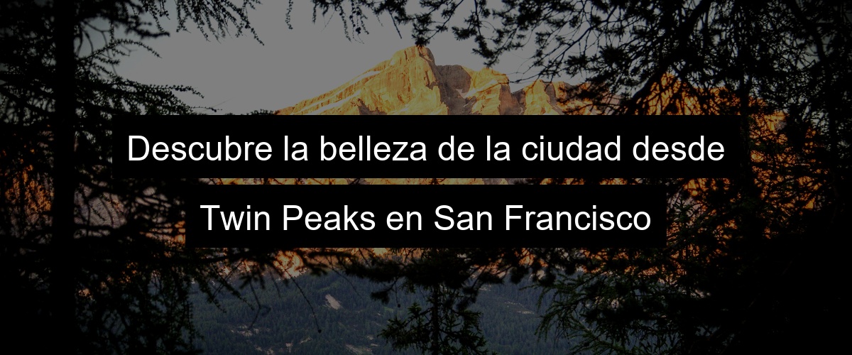 Descubre la belleza de la ciudad desde Twin Peaks en San Francisco