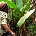 Excursiones a Honduras: Descubre los mejores tours y actividades