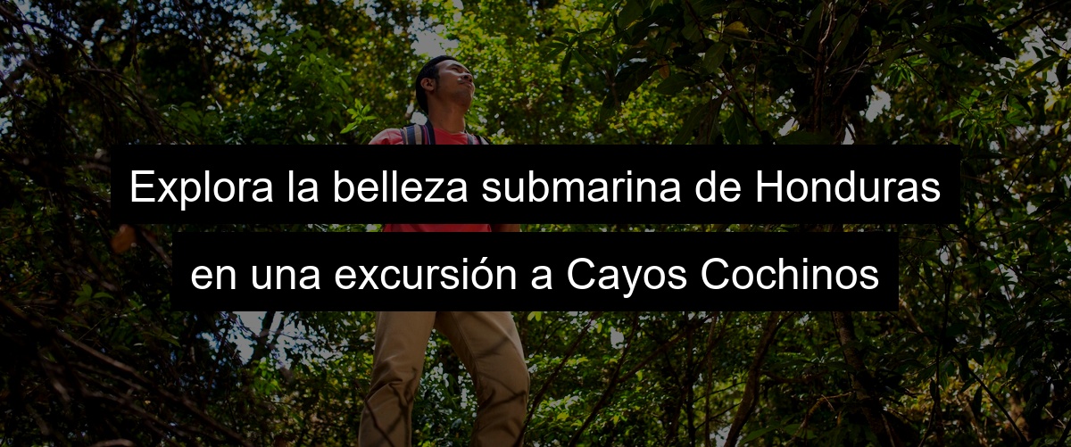 Explora la belleza submarina de Honduras en una excursión a Cayos Cochinos