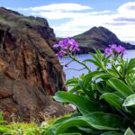 Cruceros Fiordos Junio 2023: Descubre los paisajes más impresionantes