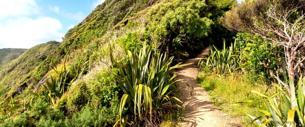 Fkk Gran Canaria: Descubre los mejores lugares para disfrutar de la naturaleza en la isla 2