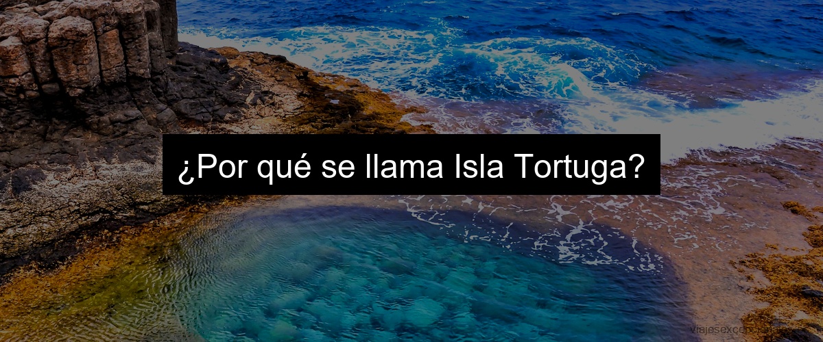 ¿Por qué se llama Isla Tortuga?