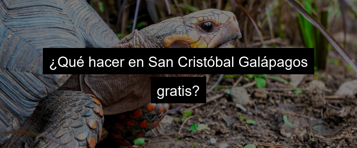 ¿Qué hacer en San Cristóbal Galápagos gratis?