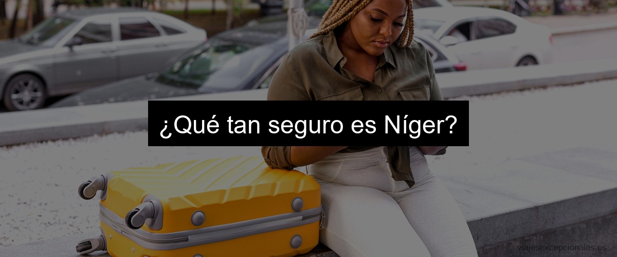 ¿Qué tan seguro es Níger?