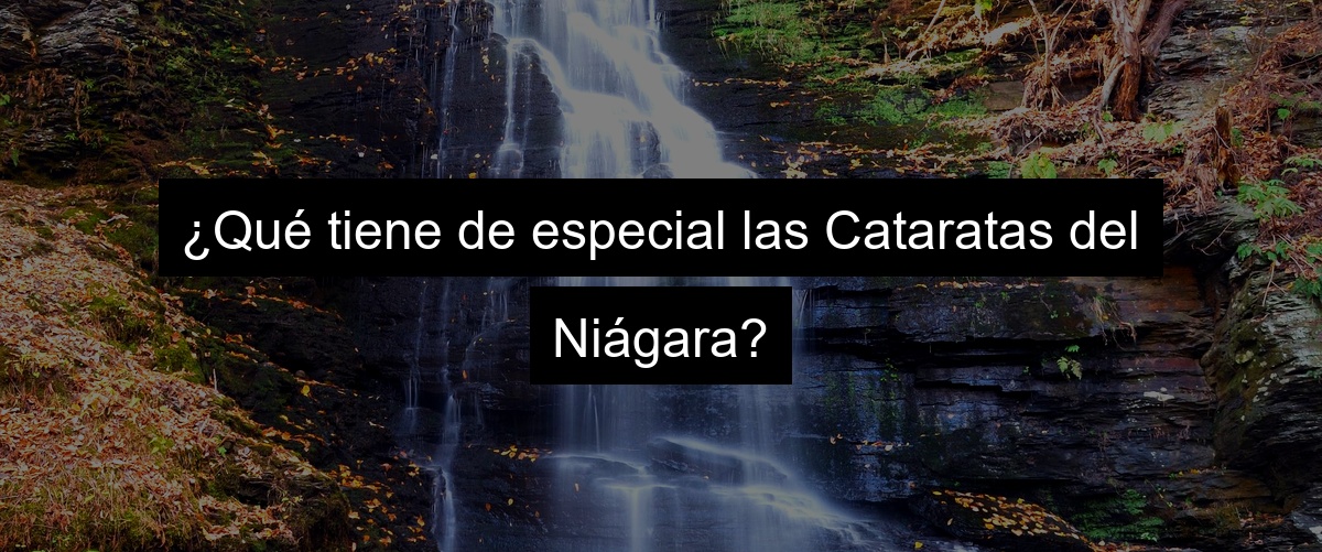 ¿Qué tiene de especial las Cataratas del Niágara?