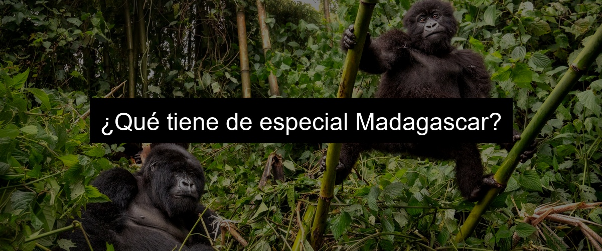¿Qué tiene de especial Madagascar?