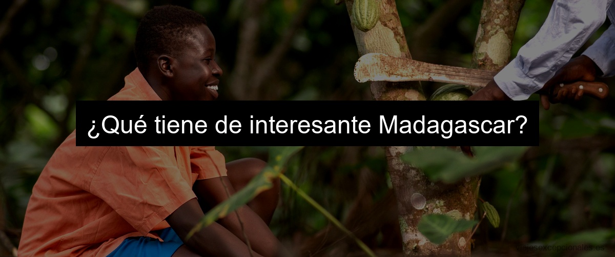 ¿Qué tiene de interesante Madagascar?