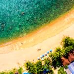 Resorts junto a la selva en Playa del Carmen: la mejor opción para disfrutar de la naturaleza