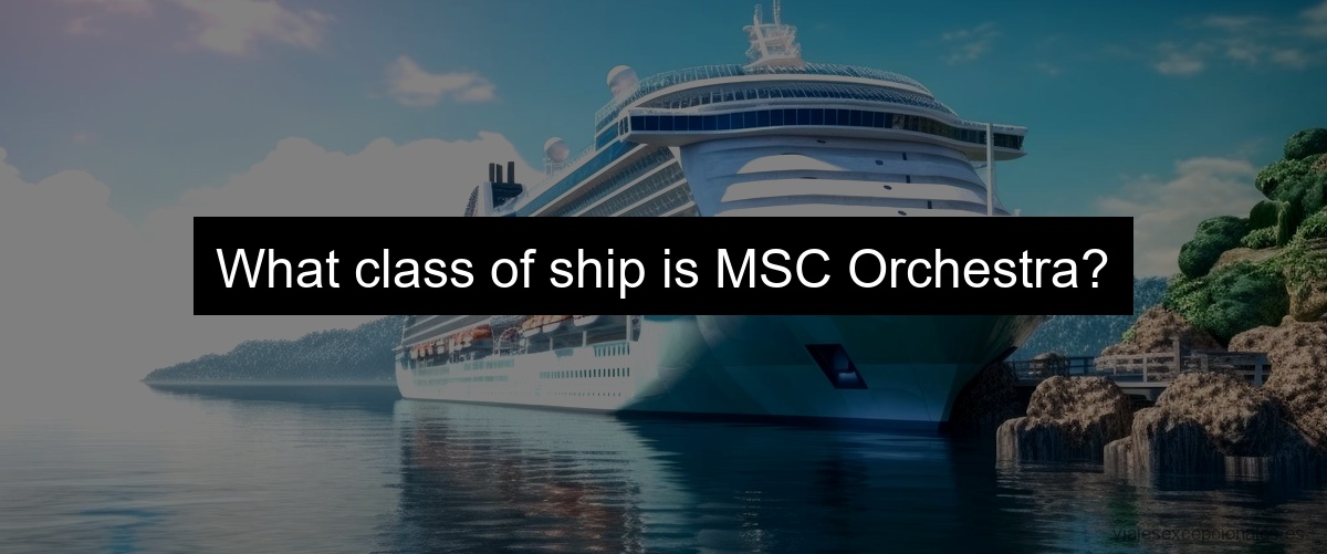 What class of ship is MSC Orchestra?